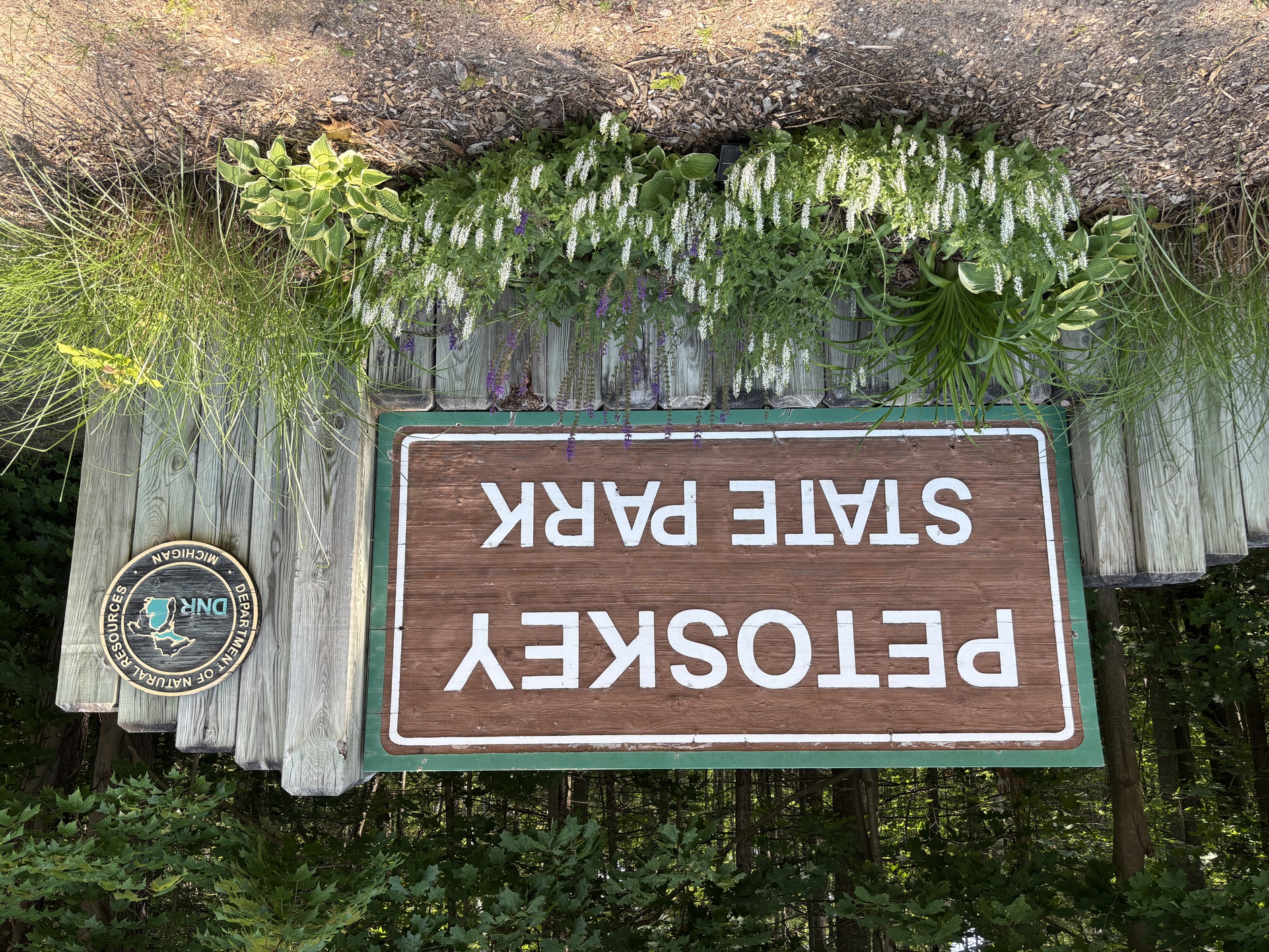 Petoskey
      State Park has a big wooden sign with flowers at its entrance on
      Mich 119.
