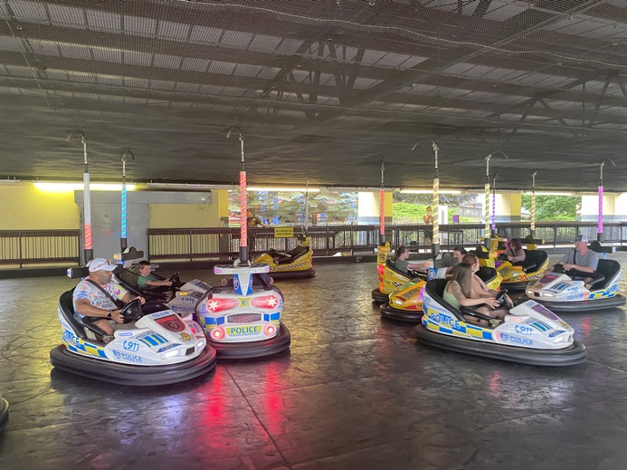 The
      bumper cars never disappoint: police versus taxis.