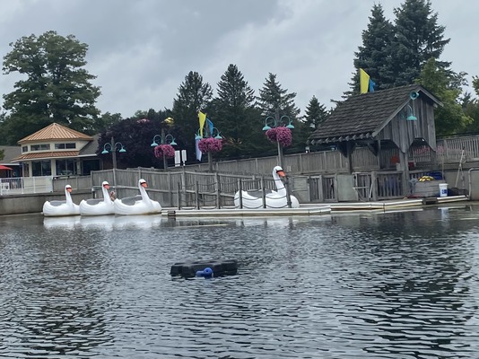 The Swan
      Boats float around the lake.