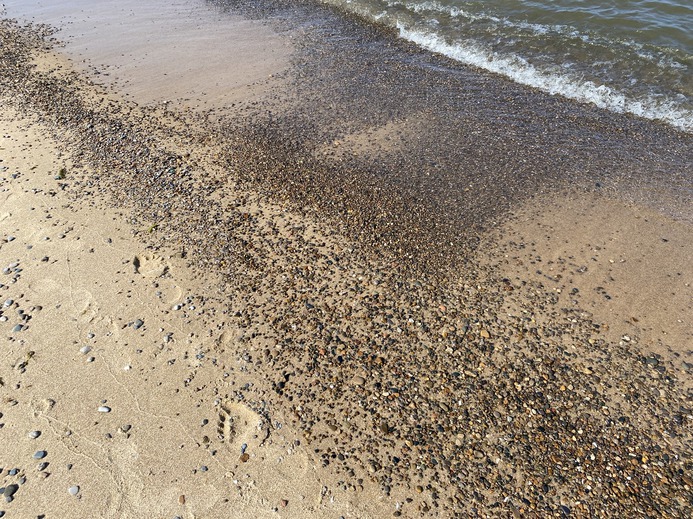 Beach-combing is a fun morning activity.