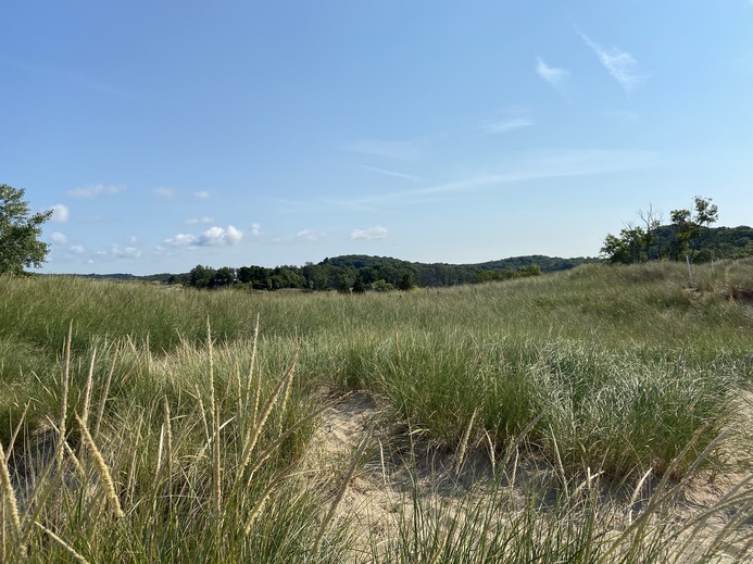 What an awesome view atop the dune!